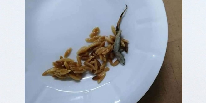 Hastane yemeğinin içinden 'kertenkele' çıktığı iddiasına soruşturma