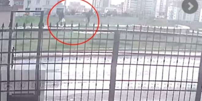 Sokak köpeklerinin zehirlenme anı güvenlik kamerasında