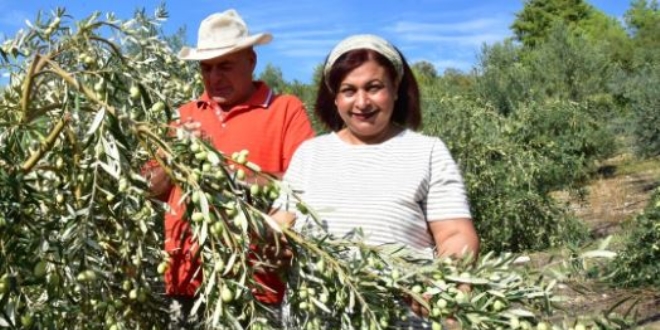 Antalyalı girişimci hibe ile zeytin fabrikası kurdu