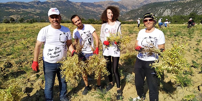 Boş araziye ekilen nohutun geliri öğrencilere 'burs' olacak