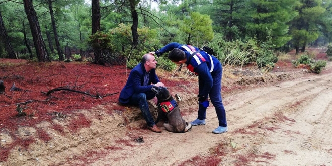 Orman Müdürü, ormanda kayboldu, jandarma köpeği buldu