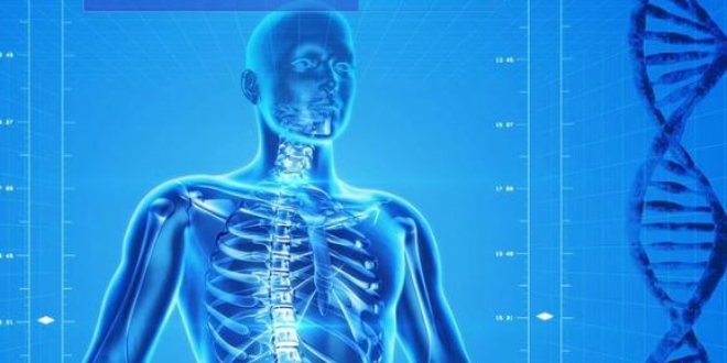 Osteoporoz kalıcı sakatlığa yol açabiliyor