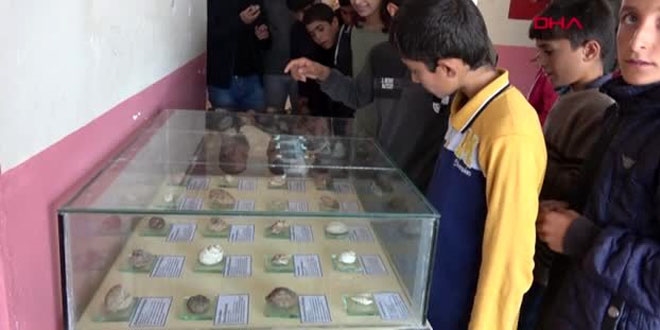Bulduğu taşlar fosil çıkan öğretmen, okulda müze kurdu