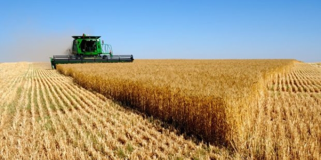 2019 yılında yapılacak Tarımsal Desteklemelere İlişkin Karar yayımlandı