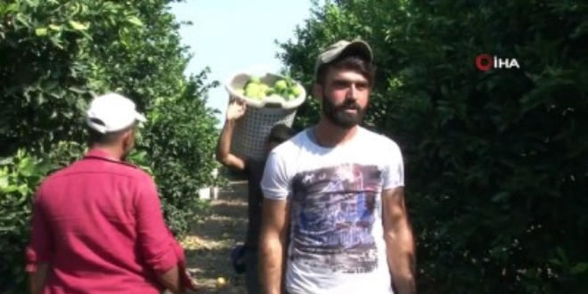 Felsefe okudu, tarım işçisi oldu