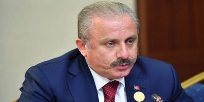 TBMM Başkanı Şentop, Strazburg'da Türk vatandaşlarıyla görüştü