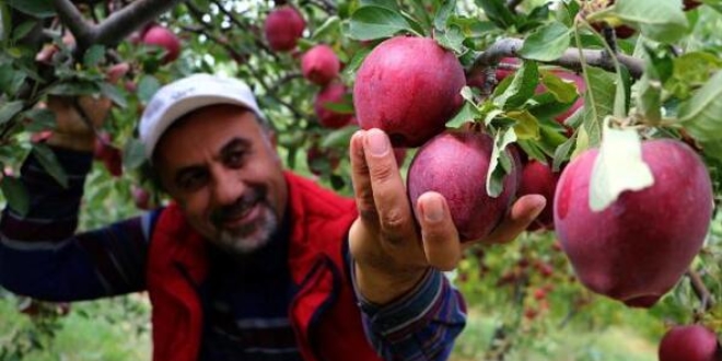 Van'dan Kuzey Irak'a 'elma' ihracat