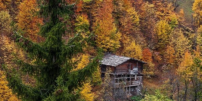 Artvin sonbaharda foto�raf tutkunlar�n� cezbediyor