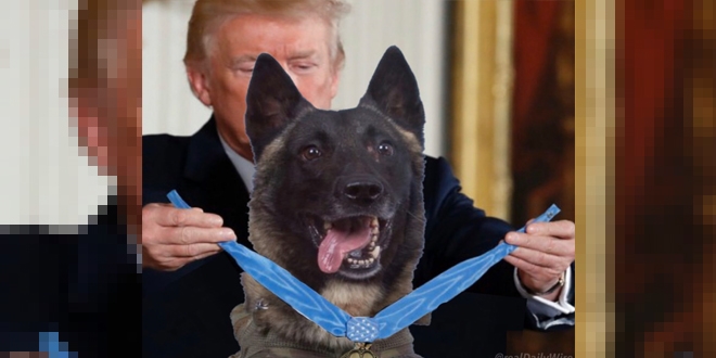 ABD Başkanı Trump'tan montajlı paylaşım