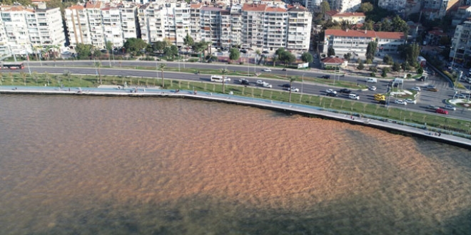 İzmir Körfezi, kahverengiye döndü