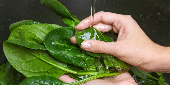 Tekirda�'da �spanak zehirlenmesinde say� 40'a y�kseldi