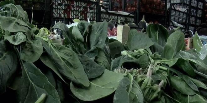 �stanbul Sa�l�k M�d�rl���: 80 vatanda� taburcu oldu