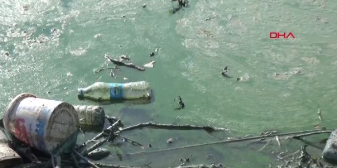 Gölde korkutan görüntü... Vatandaşlara 'uzak durun' uyarısı yapıldı