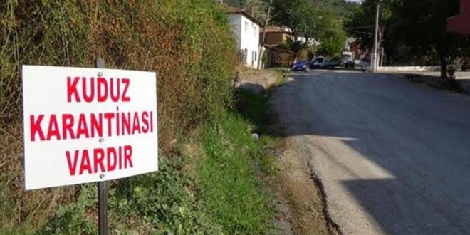 Tufanbeyli'de mahalleye kuduz karantinası