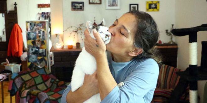 Esra öğretmen evini 20 kedi ve 2 köpekle paylaşıyor