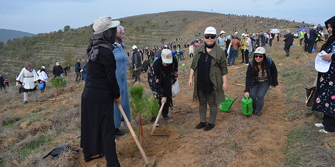 'Her y�l K�br�s kadar arazi erozyona kurban gidiyor'