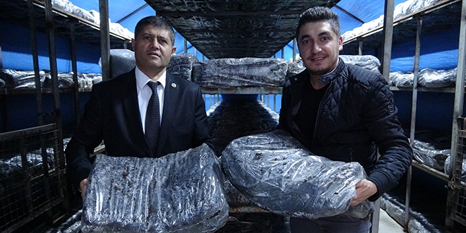 Boş araziyi değerlendi, aylık memur maaşı kazanıyor