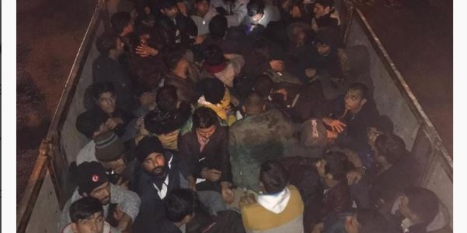 Koyun dedi, m�lteci ��kt�