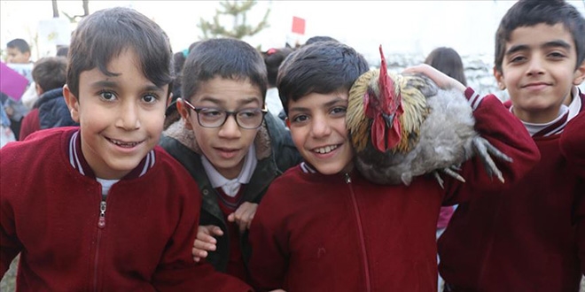 Miniklerin 'can dostları' ile neşeli eğitimi