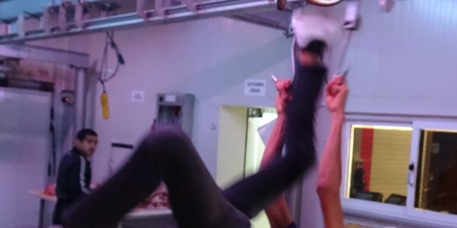 Akrobasi denemesi yapan kasab�n ac� sonu!