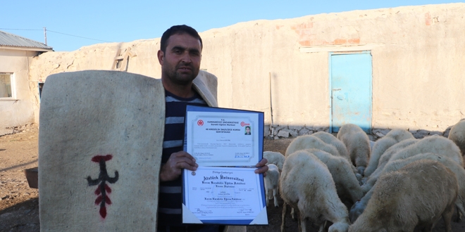 İki yabancı dil bilen aday öğretmen çobanlık yapıyor