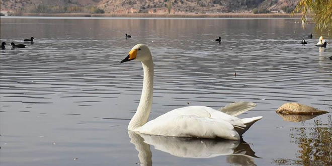 Glba Glleri Tabiat Park'nda sonbahar gzellii