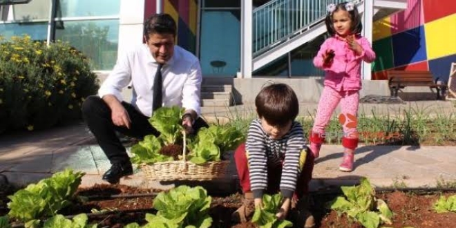 Ekolojik Kreş'te öğrenciler çiftlik hayatını öğreniyor