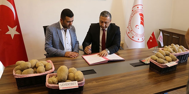 Milli patatesler, özel sektöre devredildi