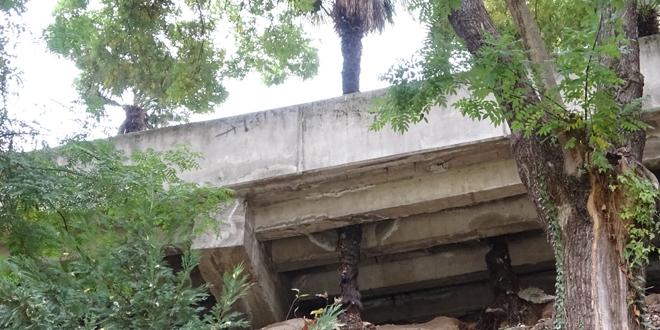 Bu şehirde ağaçlar zarar görmesin diye beton köprüyü deldiler