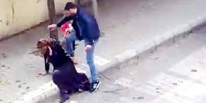 Sokak ortasında dehşet...Kadını tekme tokat dövdü