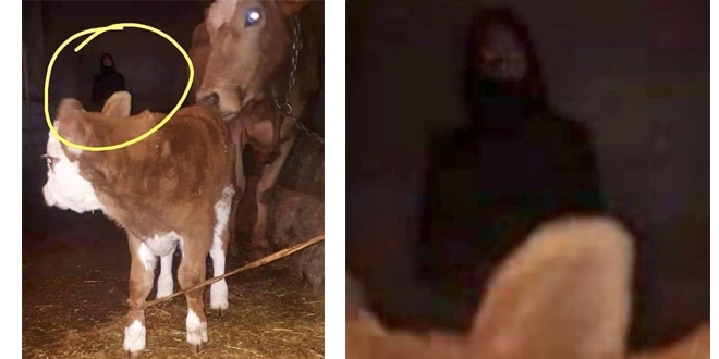 Sosyal medyada gündem olan esrarengiz fotoğraf