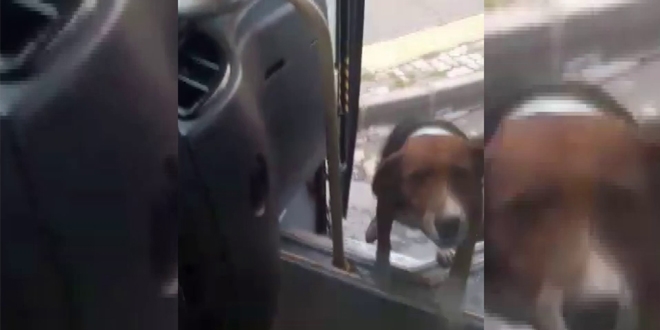 Bir bardak suyla ba�layan dostluk