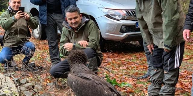 Bakan Pakdemirli, Kara Akbaba'yı doğaya bıraktı