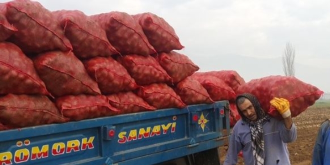 Patates üreticisi fiyattan memnun değil