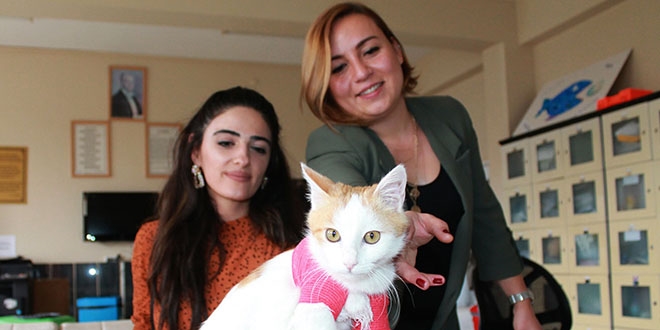 Öğretmenlerin duyarlılığı kediyi sağlığına kavuşturdu