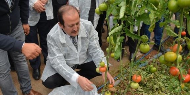 Devlet desteği ile kurup! 2 milyar dolarlık ihracat yaptılar