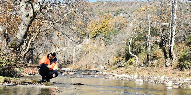 T�rkiye'de bir ilk '�ifa Orman�' kurulacak
