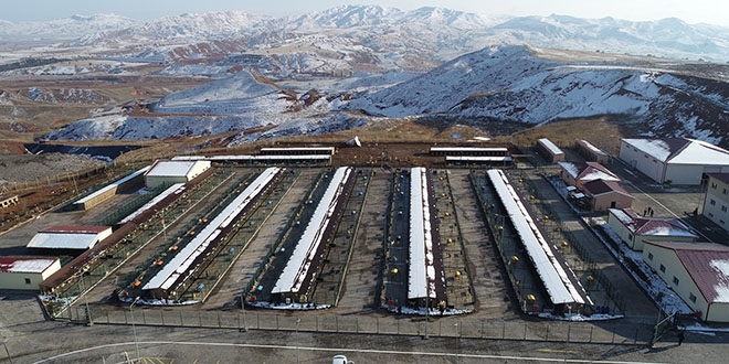 Beş yıldızlı hayvan oteli, hayvanların sıcak yuvası oldu