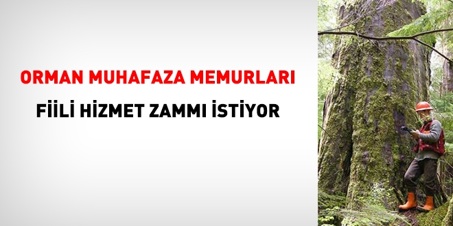 Orman Muhafaza Memurları Fiili Hizmet Zammı istiyor