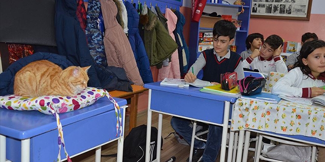 Minik ��renciler 'patili misafirleri' payla�am�yor