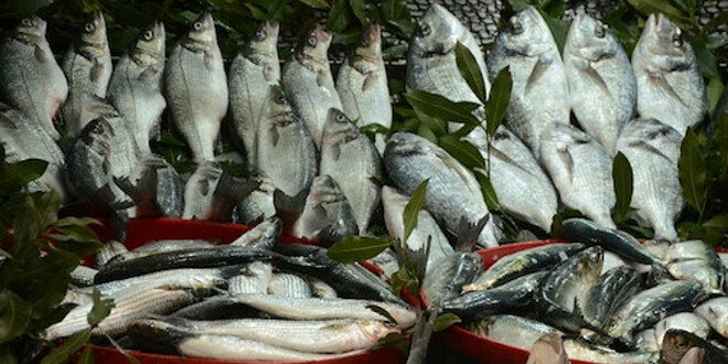 Hamsi tezgahtaki yerini diğer balıklara bıraktı