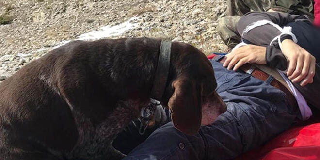 Dağda kalp krizi geçirdi, köpeği yanından ayrılmadı