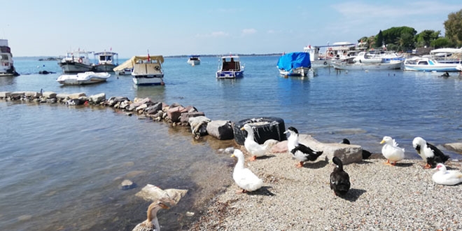 Çeşme'ye gidip Ildırı'ya uğramadınız mı?