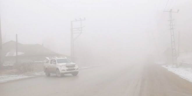 Ar ve Erzurum'da youn sis etkili oluyor