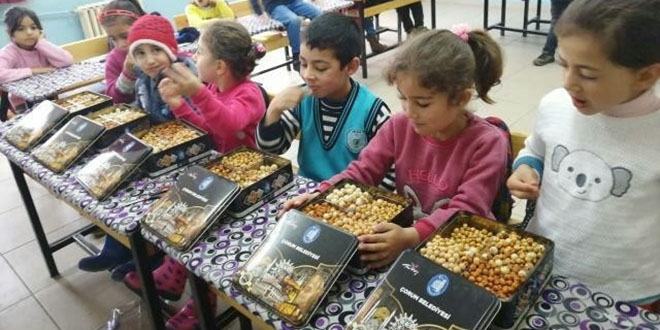 Çorum belediyesi öğrencileri leblebi ile tanıştırıyor