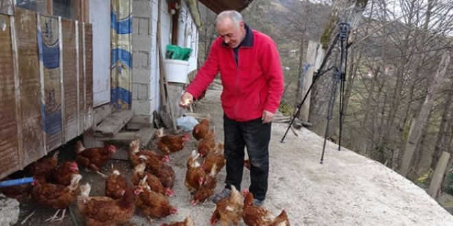 Mühendisliği bıraktı, tavuk çiftliği kurdu