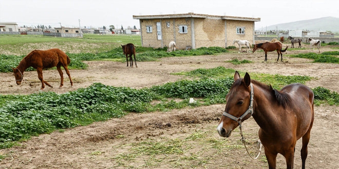 Salk Bakanl ilana kt ama kadro iin bavuru olmad