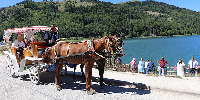 Bolu'dan da 'atlara karantina' haberi geldi
