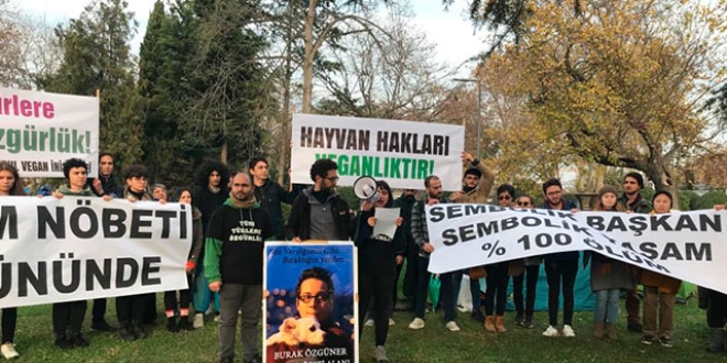 İBB önündeki fayton protestosu devam ediyor