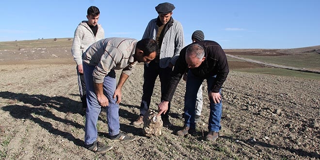 Nohut ektiler göktaşı hasat ettiler